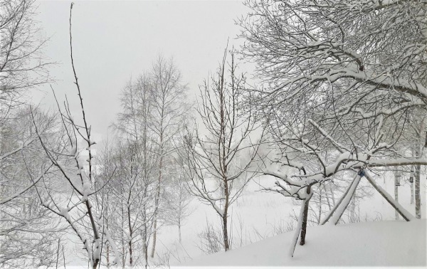 Sno april 3