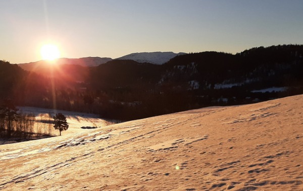 Vinter 14