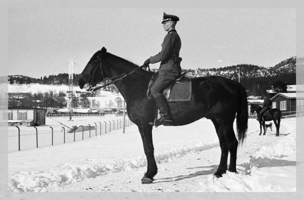 001 Tysk Hest