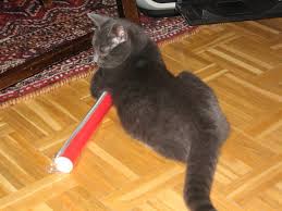 images katt og julepapirrull2