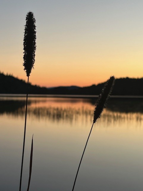 thumbnail IMG 4320.jpg Stra i sonedgang Anne Grut