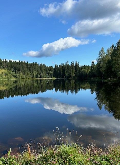 thumbnail IMG 5357.jpg Stille vann Randi Fossmo